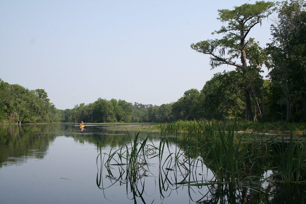 Wakulla River 2007